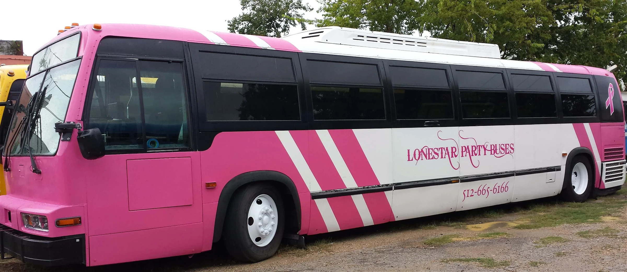 Pink Charter Bus